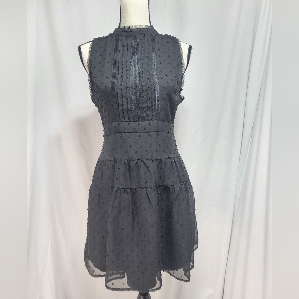 Francescas swiss dot lace overlay sleeveless lined fit and flare dress, size S